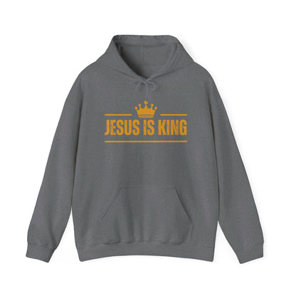 Jesus Is King Hoodie